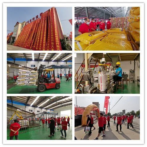 百萬噸酵素肥基地落成 億豐實(shí)業(yè)集團(tuán)發(fā)布會釋放行業(yè)重磅信息